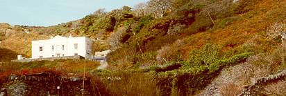 Lower Millcombe showing the walled gardens