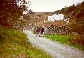 Millcombe valley and walled gardens