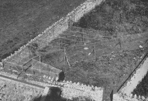 The Garden Trap from the top of the 
Old Light. Photo by L A Harvey in LFS Annual Report 3