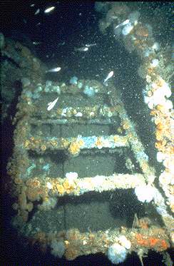 Photo of steps on the MV 
Robert which sank in 1975
